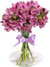 Фиолетовые альстромерии